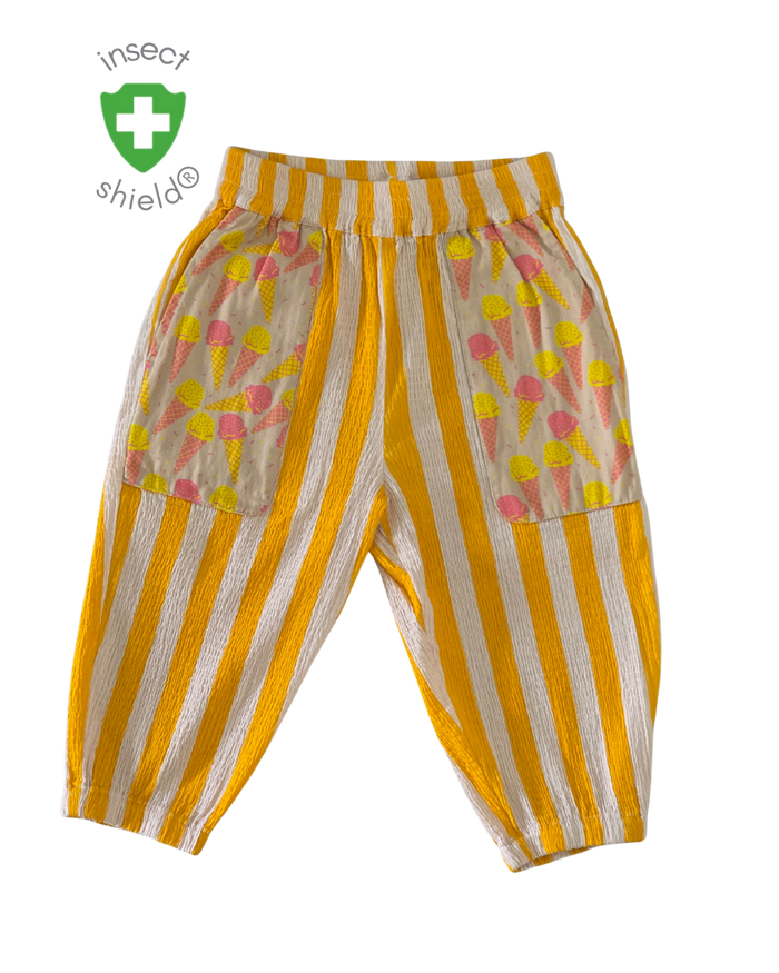 Explorer Pants
