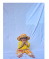 Nice Creams insect shield explorer pants easy peasy frill tee reversible upf 50 bucket hat 